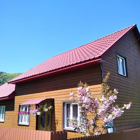 Verkhnyaya Bystra Відпочинок У Карпатах, Мінеральні Ванни, Банний Чан!旅馆 外观 照片