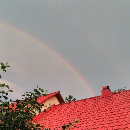 Verkhnyaya Bystra Відпочинок У Карпатах, Мінеральні Ванни, Банний Чан!旅馆 外观 照片