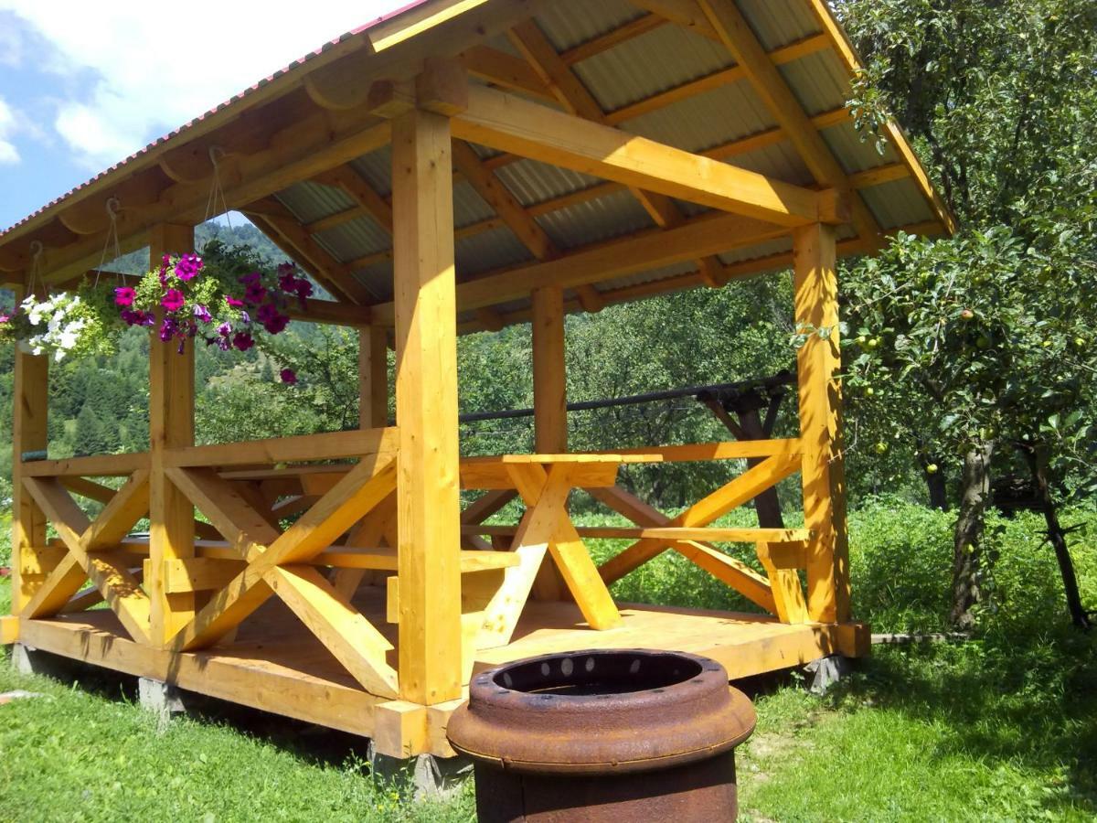 Verkhnyaya Bystra Відпочинок У Карпатах, Мінеральні Ванни, Банний Чан!旅馆 外观 照片