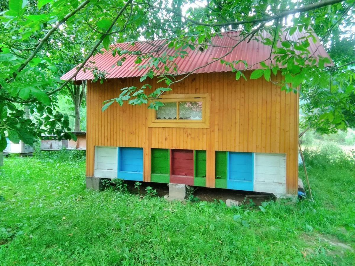 Verkhnyaya Bystra Відпочинок У Карпатах, Мінеральні Ванни, Банний Чан!旅馆 外观 照片